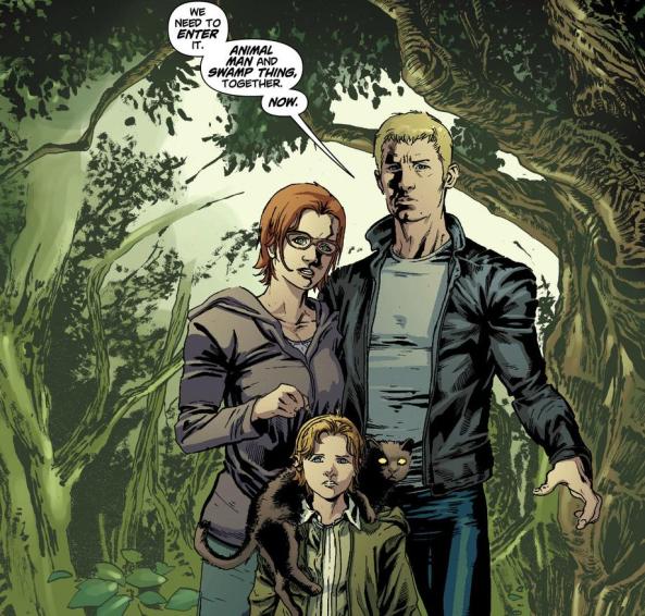 After like 6 issues of people telling Buddy that he needs to seek the Swamp Thing, it's nice to see the Good Doctor Holland needing Animal Man's guidance.
