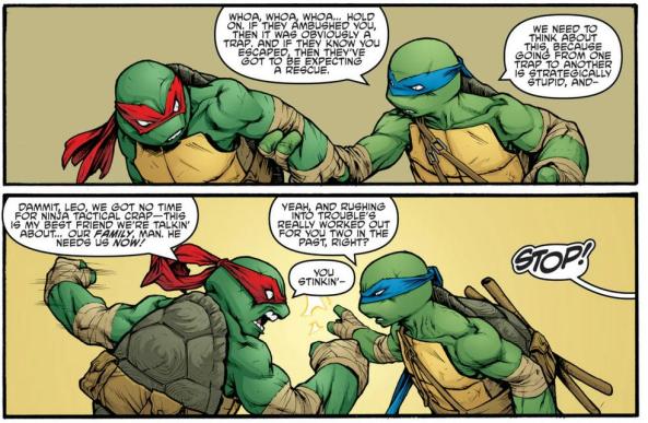 Leonardo and Raphael disagree