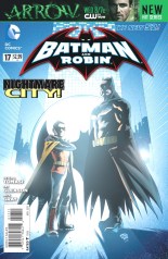 Batman and Robin 17