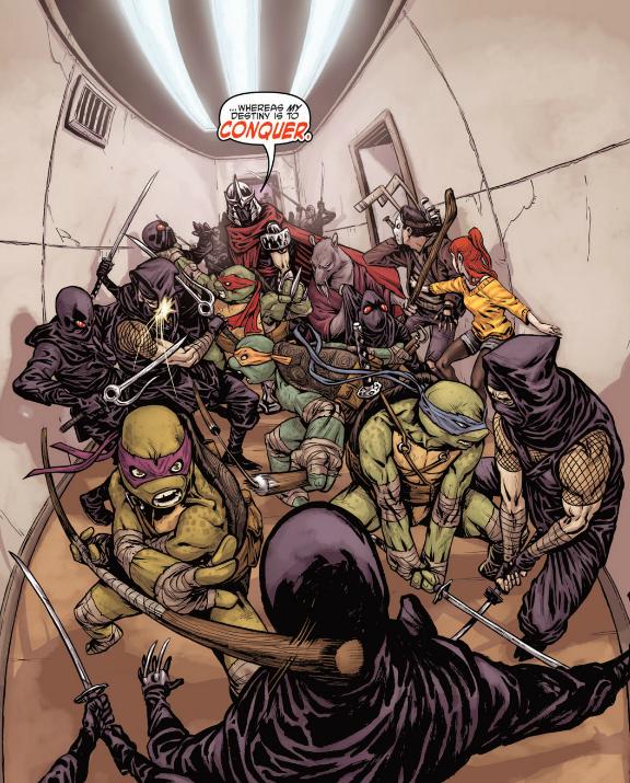 Fisheye turtle fight