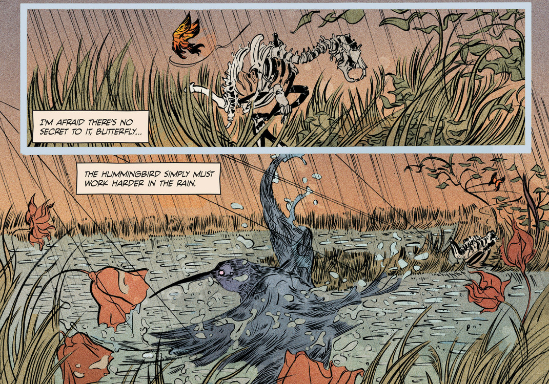 Fish got to swim, birds got to fly