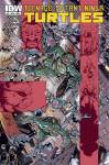 Teenage Mutant Ninja Turtles 47