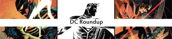 dc roundup17
