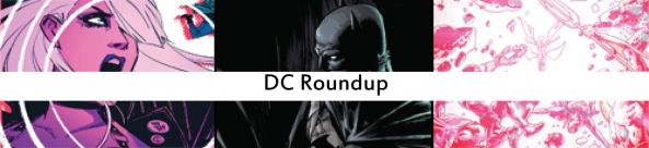 dc roundup27