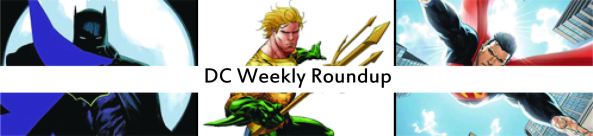 dc roundup41