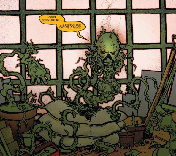 Swamp Thing in a Pot