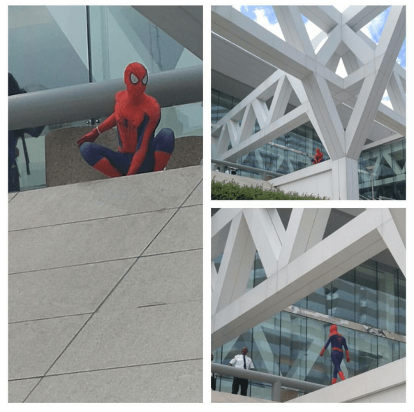 Our day started off auspiciously with a sighting of Spider-Man in his native habitat, but things didn't turn out quite so well for ol Spidey himself