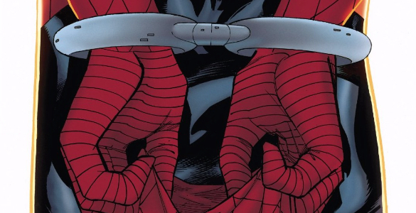 Peter Parker The Spectacular Spider-Man 297